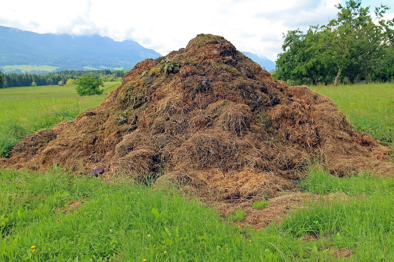 decomposed-manure.jpg