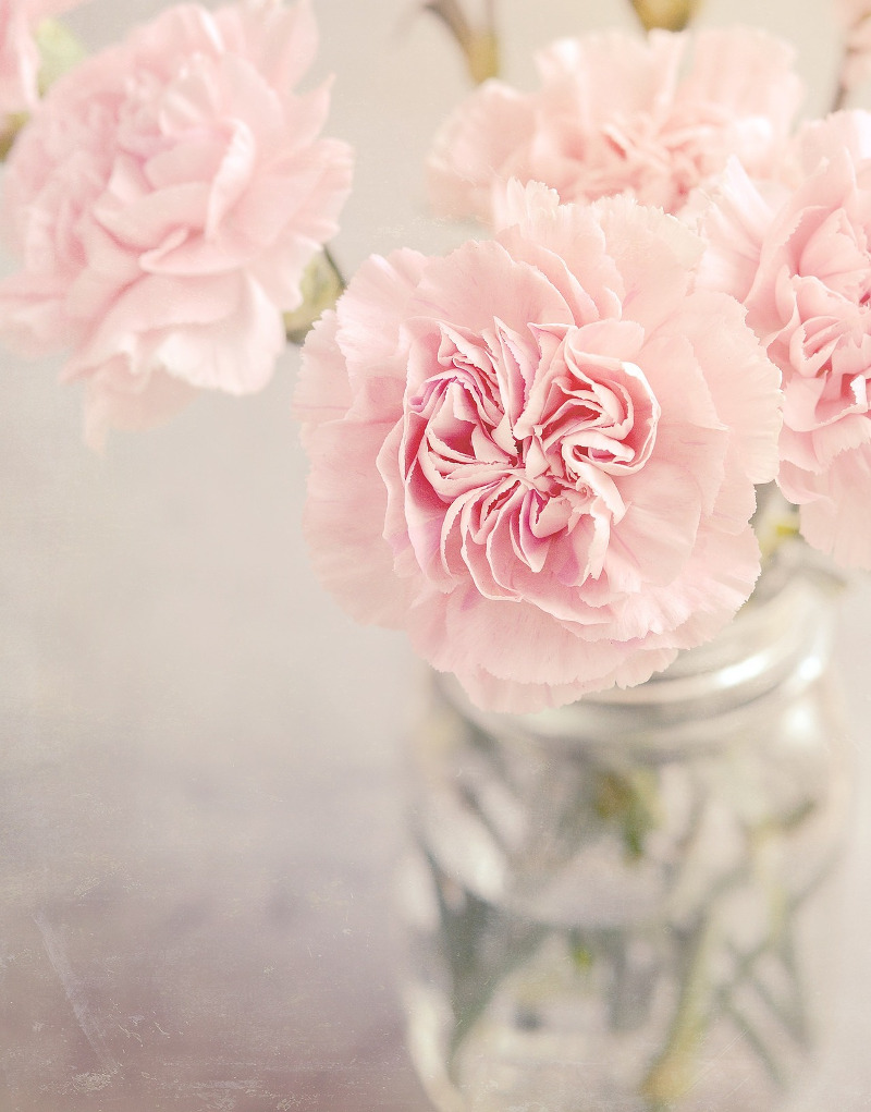 dianthus-boquet.jpg