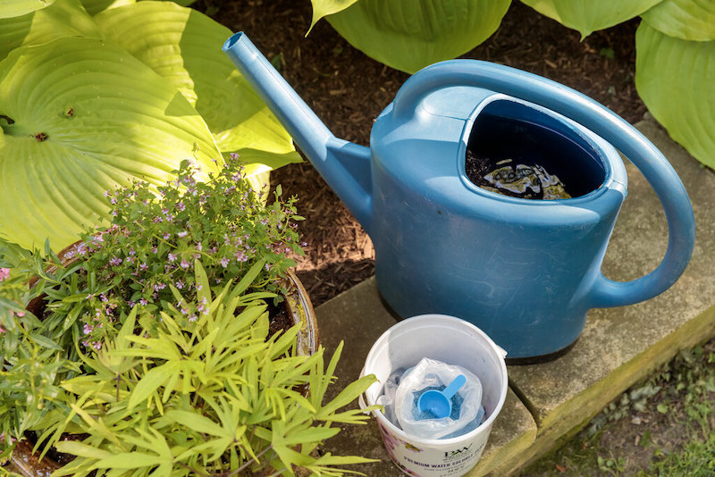 diluting-water-soluble-fertilizer-in-watering-can.jpg