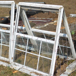 DIY Cold Frames