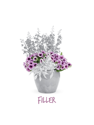 Filler Plants