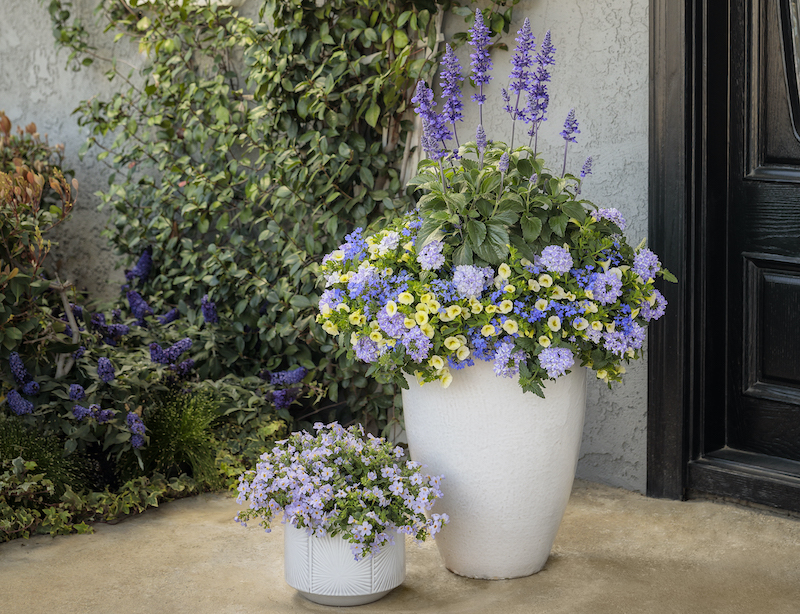 front-entryway-with-mixed-containers.jpg