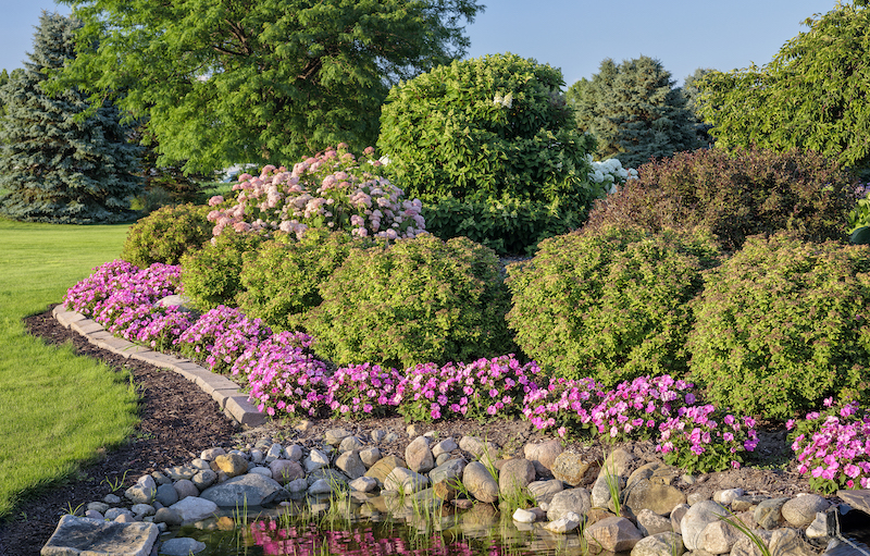 garden-display-with-double-play-spirea-hydrangea-and-sunpatiens.jpg