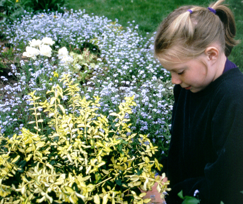 girl-next-to-euonymus-shrub.jpg