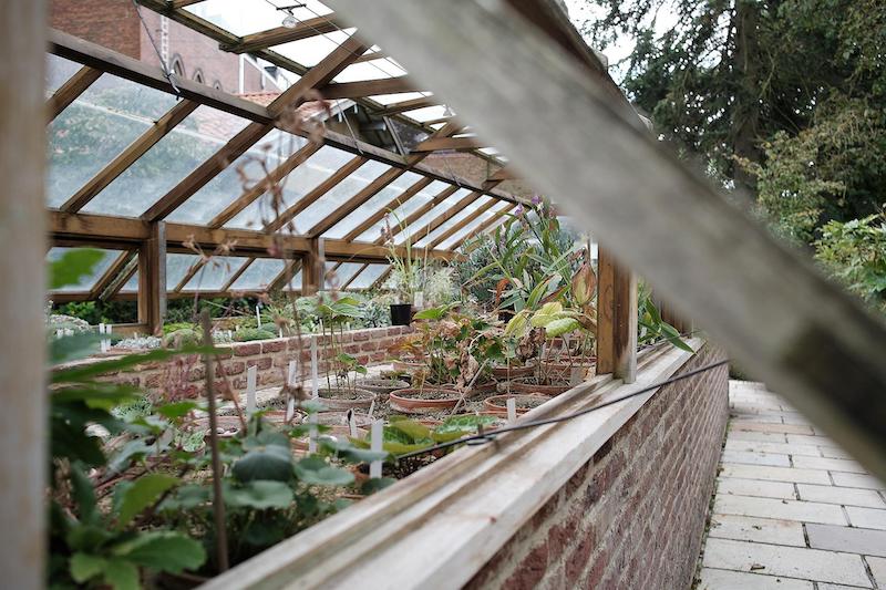 greenhouse-for-overwintering-plants.jpg