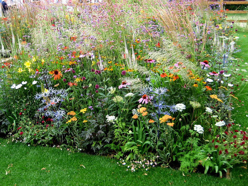 hampton-court-flower-show-2009-with-sneezeweed-sea-holly-coneflower-verbena-dahlias-and-lilies.jpg