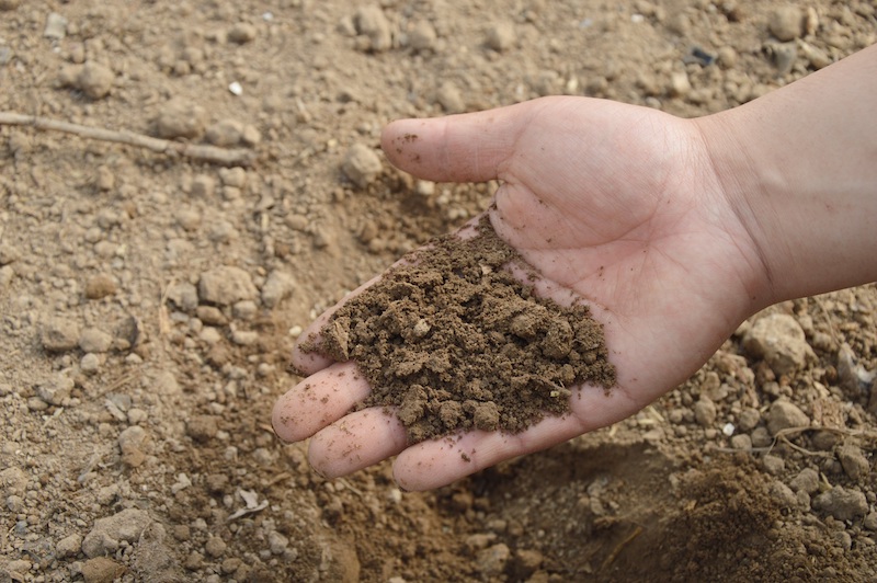 handful-of-soil.jpg