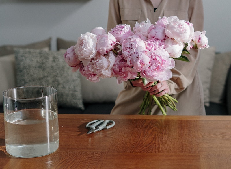 are peonies deadly to dogs and cats