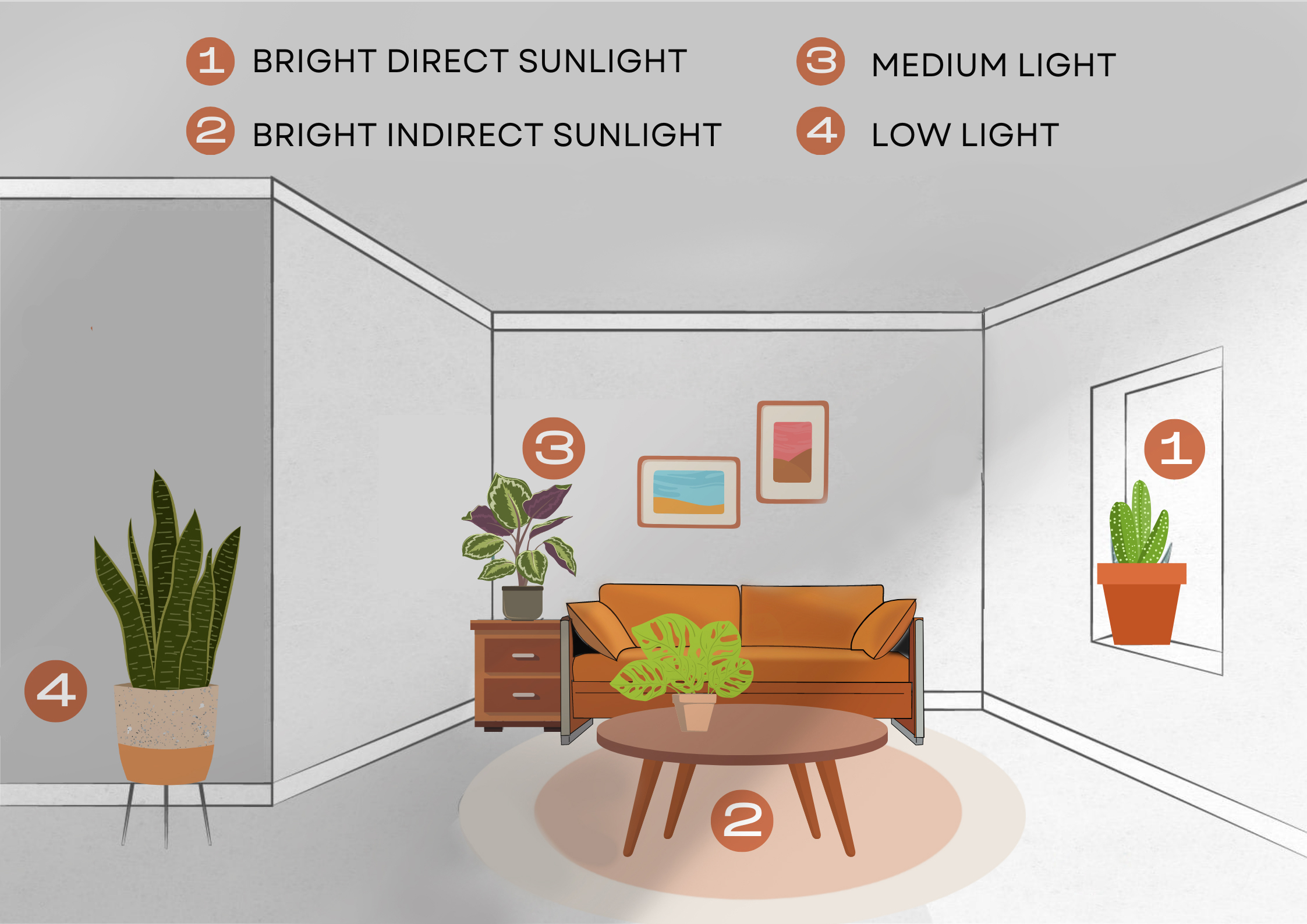 Plant Light Guide