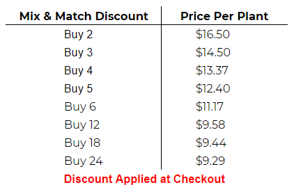 Mix and Match Discount