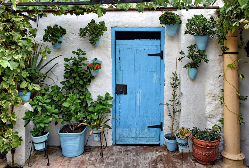 mix-of-houseplants-on-a-porch.jpg