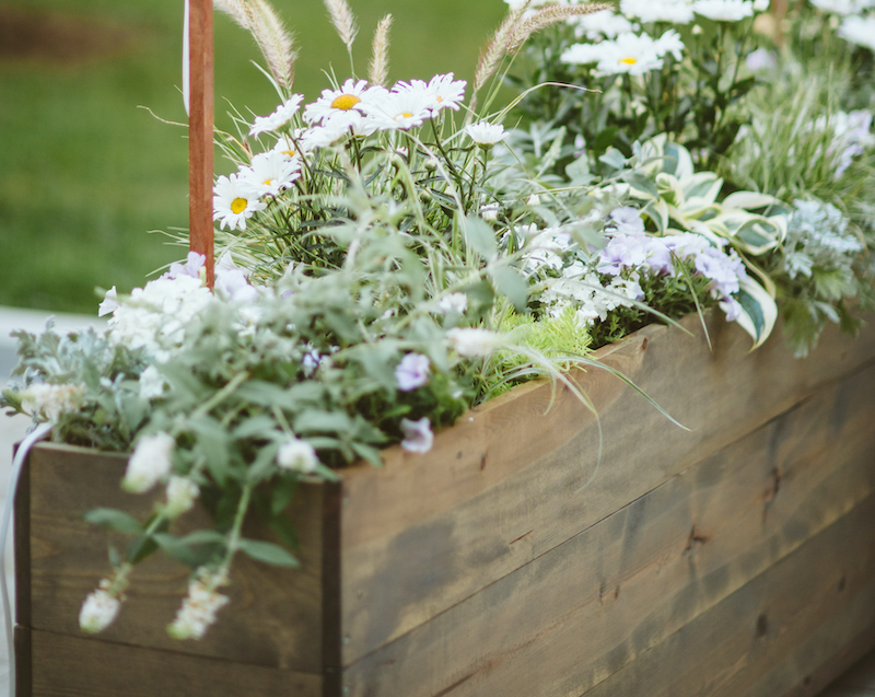 mixed-container-with-shasta-daisies-fountain-grass-petuna-and-artemesia.jpg