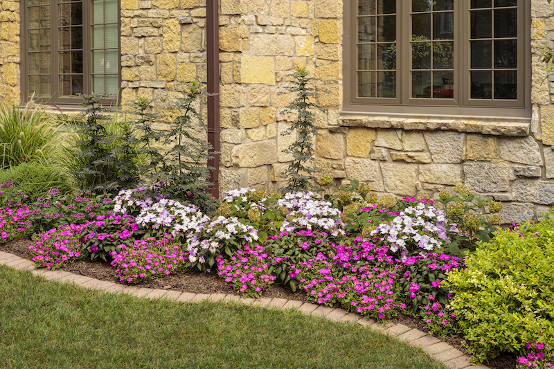 mixed-foundation-planting-with-mojave-fuchsia-purslane-in-the-front.jpg