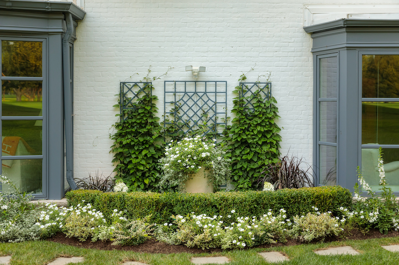 moon-garden-white-snapdragons.jpg