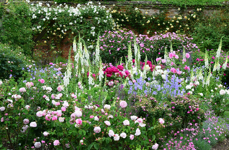 mottisfont-abbey-gardens-featuring-foxgloves-roses-bellflower-and-dianthus.jpg