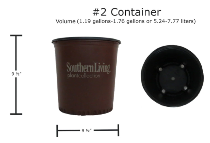 How To Chose The Right Plastic Pot? Plant Pot Size Chart