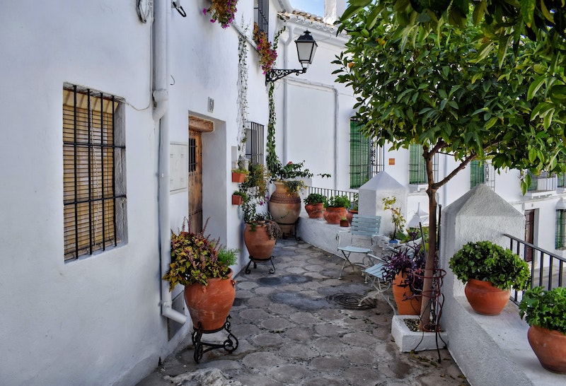 outdoor-container-garden-with-potted-tree.jpg