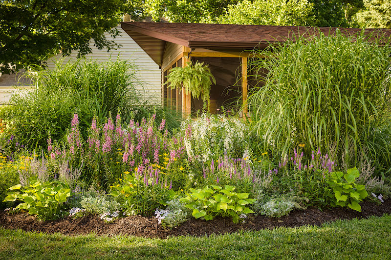 perennial-border-with-summer-snapdragon-silver-bullet-artemesia-sweet-potato-vine-petunia-catmint-russian-sage-and-speedwell.jpg