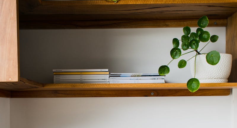 pilea-on-a-shelf-to-protect-it-from-pets.jpg