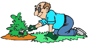 planting-hydrangeas-cartoon-compressor.gif