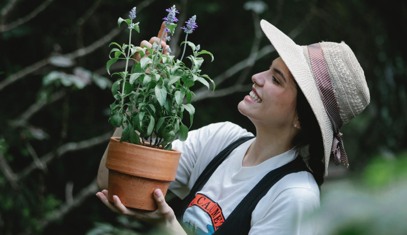 planting-salvia-in-a-pot.jpg