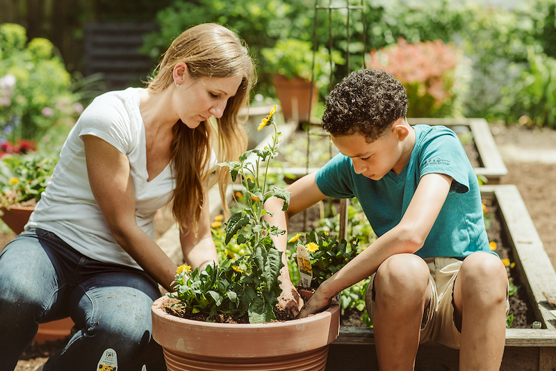 The Ultimate Guide to Planter Sizes