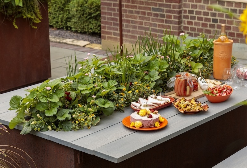 potager-patio-garden-with-berried-treasure-pink-strawberry-sunbini-creeping-zinnia-and-tempting-tomatoes-goodhearted.jpg