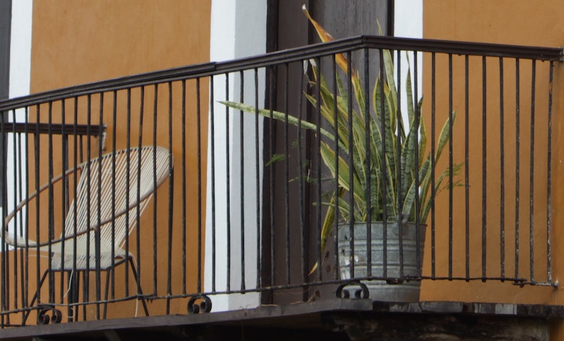 potted-snakeplant-growing-on-balcony.jpg