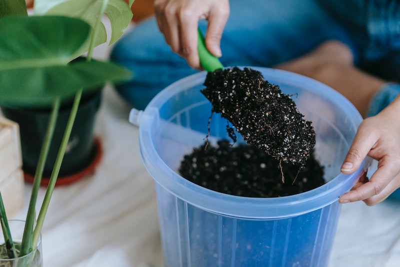 preparing-potting-mix.jpg