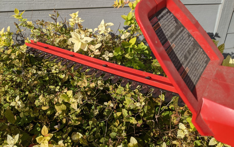 pruning-spirea-with-electric-hedger.jpg