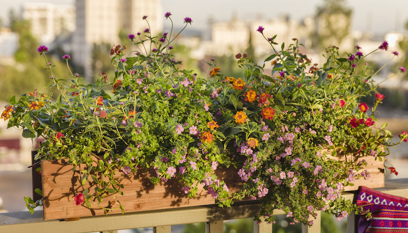 rectangular-deck-planter-with-mojave-red-purslane-lantana-bacopa-and-verbena.jpg