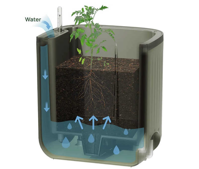 self-watering-rolling-tomato-planter-pot-with-trellis-watering-system.jpg