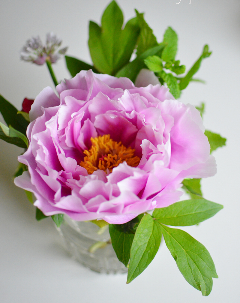 small-flower-arrangment-in-a-vase.jpg