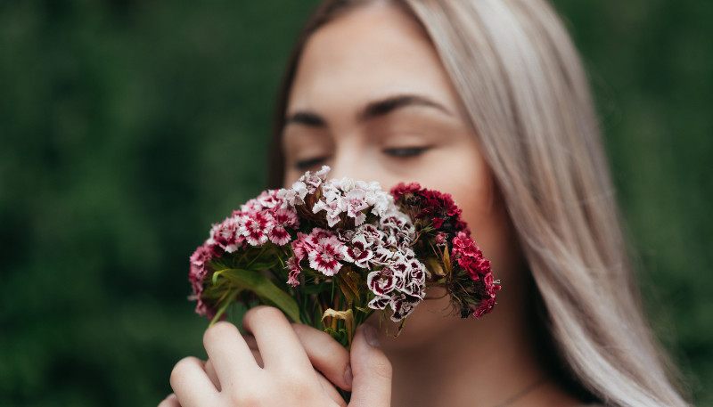 Here's Why Carnation Flowers are the Best for Weddings