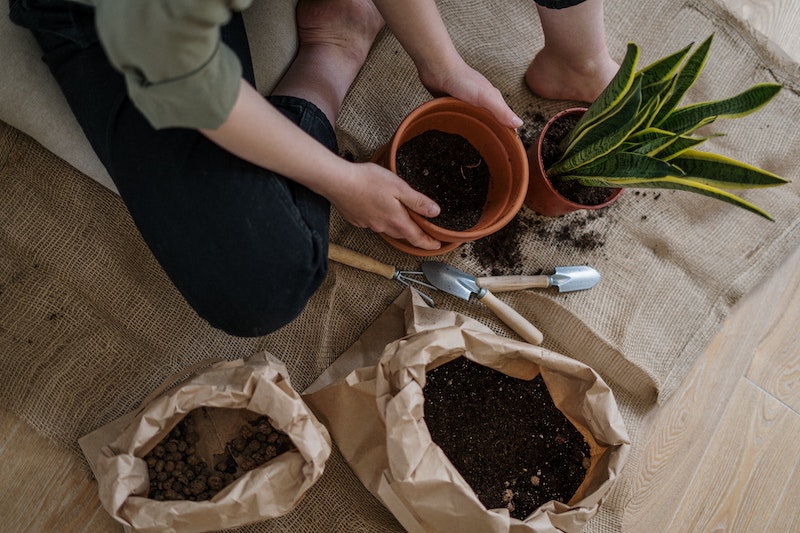 materials for potting up snake plant