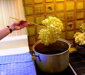 step-1-dyeing-hydrangeas.jpg