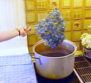 step-4-dyeing-hydrangeas.jpg