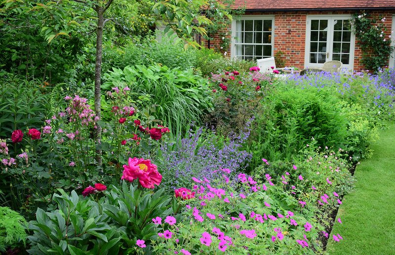 the-coach-house-open-garden-with-peonies-roses-columbine-salvia-and-geraniums.jpg