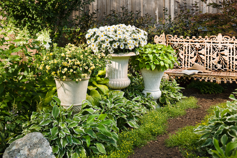 three-large-planters-in-a-garden-bed.jpg