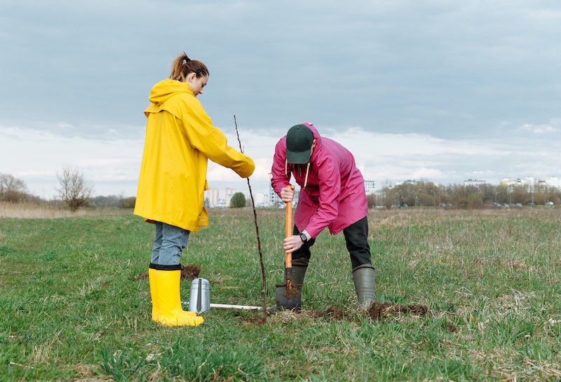 two-people-digging-a-hole.jpg