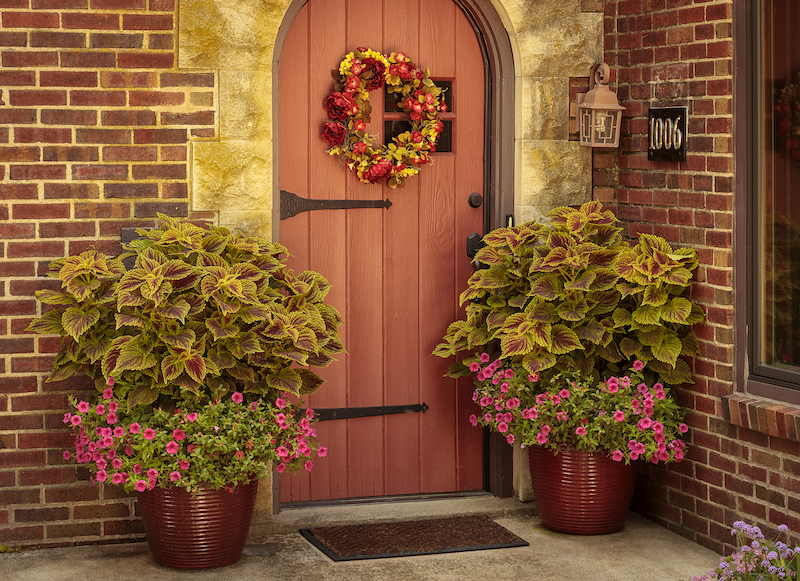 two-pots-frame-front-door-with-mojave-purslane-and-coleus.jpg