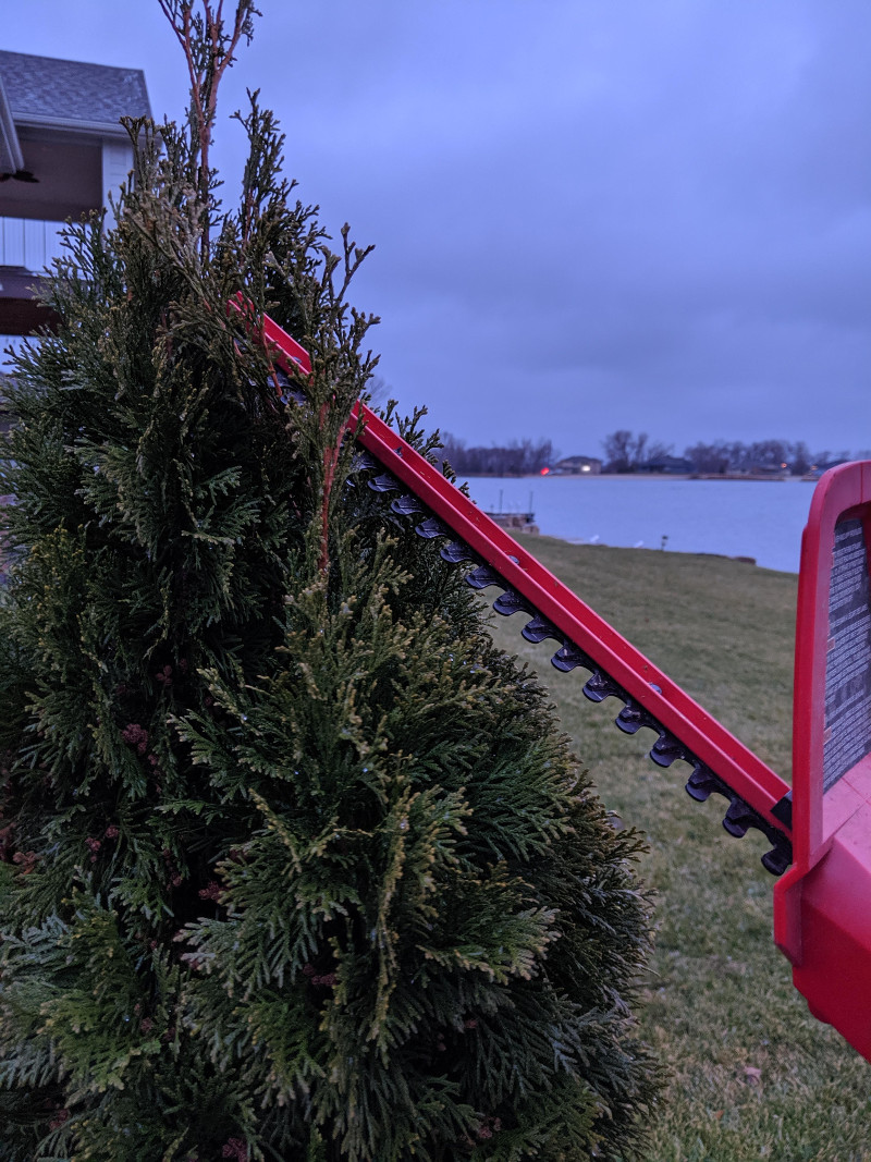 using-electric-hedger-to-prune-and-shape-an-arborvitae.jpg