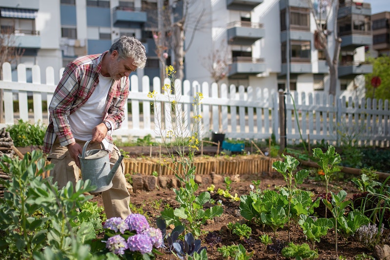 using-watering-can-for-victory-garden.jpg