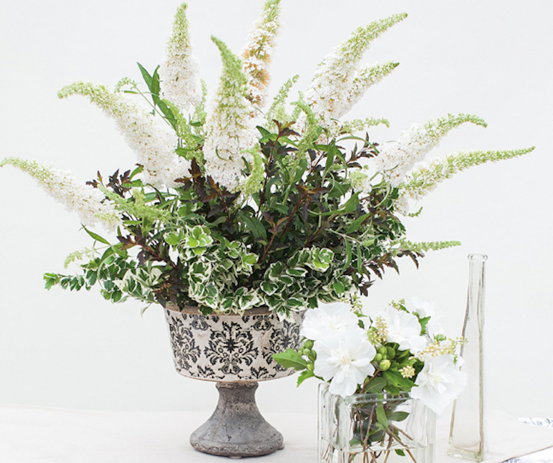 vase-with-clethra-bloms.jpg