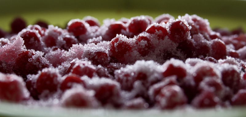 viburnum-berries-with-sugar.jpg