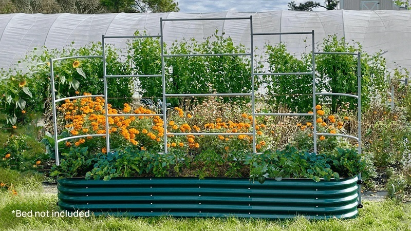 wall-trellis-system-garden-bed.jpg