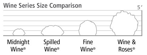 Wine Weigela Sizes Comparison Chart