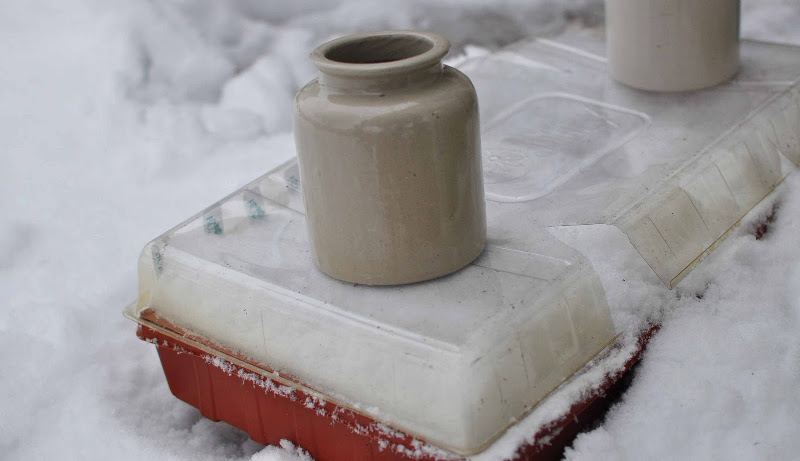 winter-sowing-container-with-snow-and-ventilation.jpg