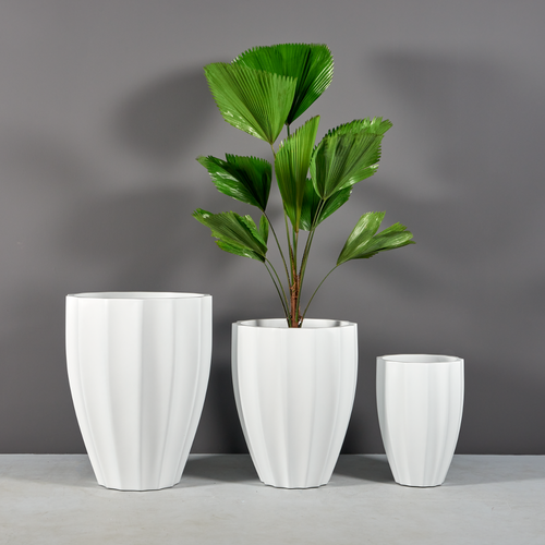 Alicante Ribbed Round Planter - Jay Scotts | Plant Addicts