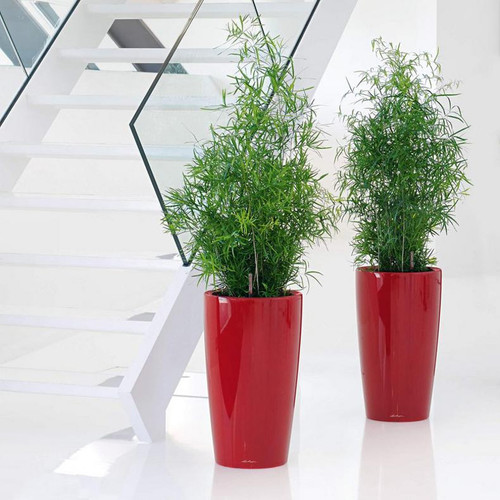 Buy Toulan Tapered Tall Square Planter Online